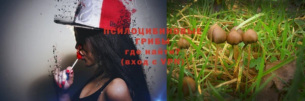гашик Армянск