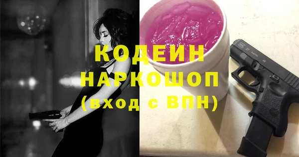 шишки Аркадак