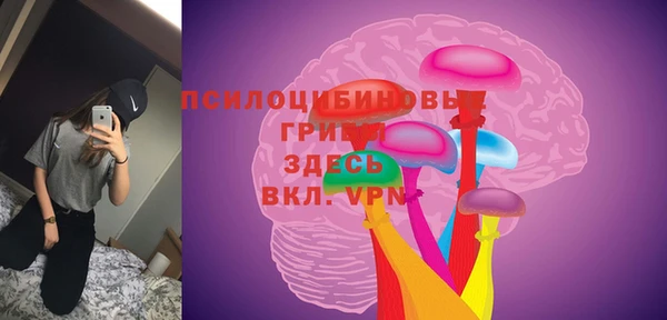 гашик Армянск