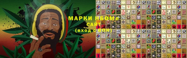 шишки Аркадак