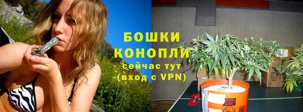 шишки Аркадак