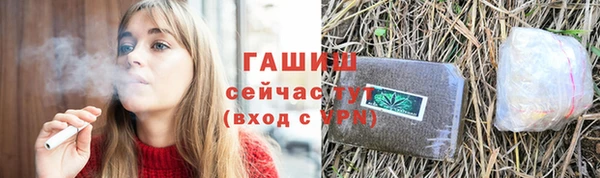 шишки Аркадак