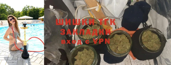 шишки Аркадак
