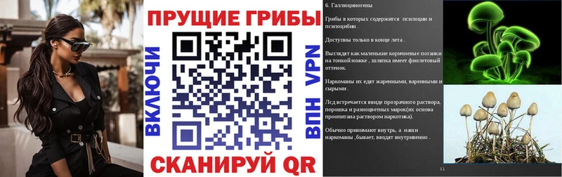 Галлюциногенные грибы Psilocybe Власиха